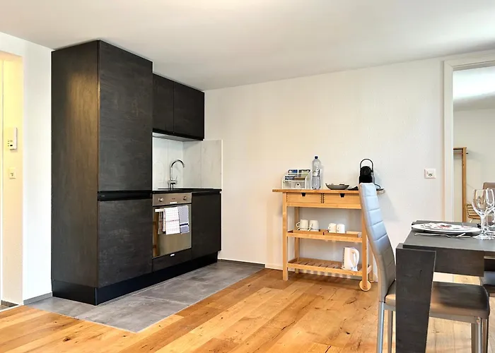 Apartment Klara 1011 - Olma, Spital, Uni St- Gallen *