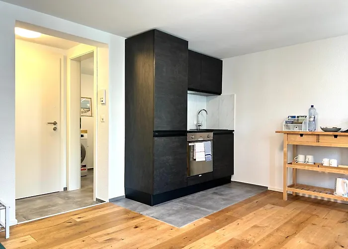 Klara 1011 - Olma, Spital, Uni St- Gallen Apartamento *